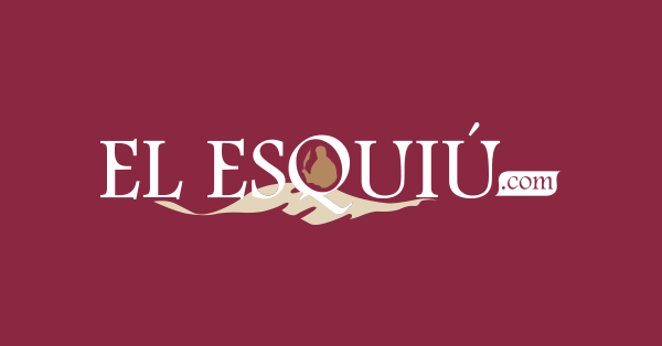 2325984-a-pesar-de-los-pedidos-no-podan-el-arbol-a-punto-de-caer-en-la-casa-19-del-barrio-las-gramillas