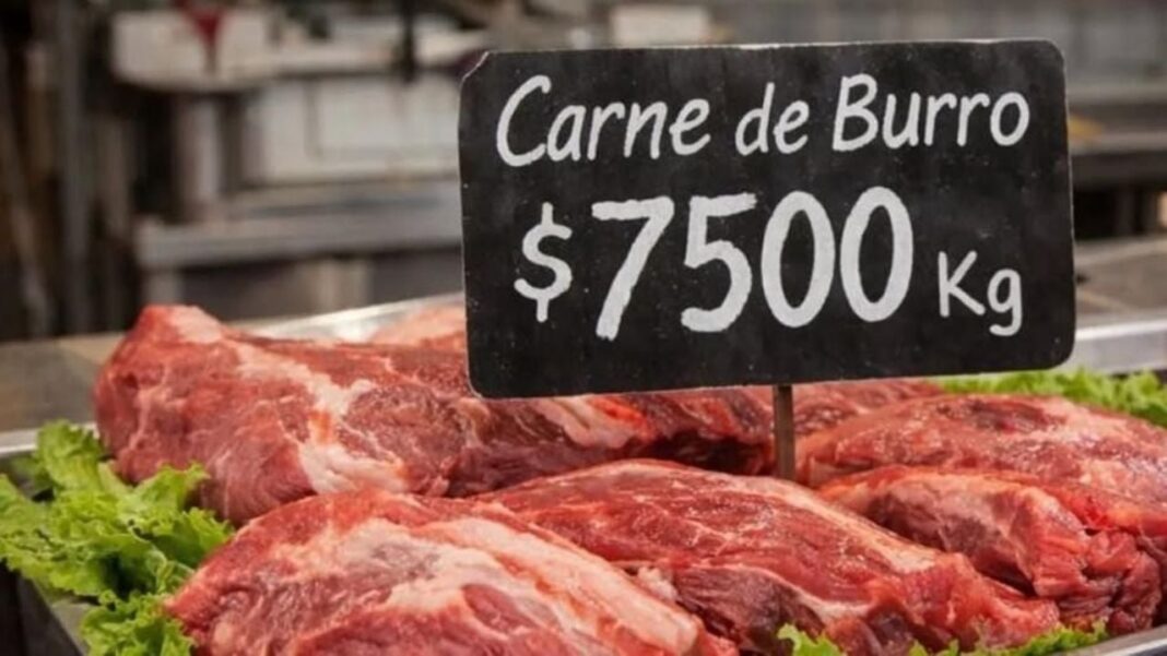 Productor Julio Cittadini junto a cortes de carne de burro en una carnicería de Trelew, Chubut.