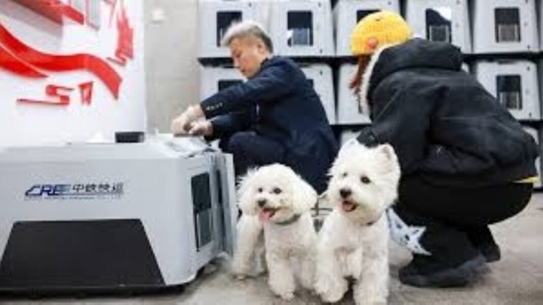 Tren de alta velocidad chino con ícono de servicio de mascotas en estación