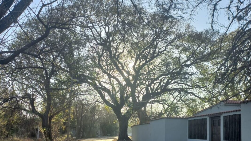 Mapa del tiempo mostrando condiciones despejadas sobre la provincia de Catamarca