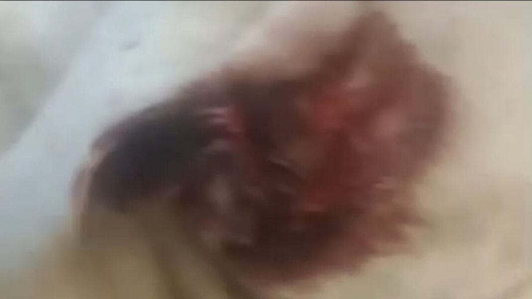 Ilustración de un barrio residencial, representando el contexto del reporte ciudadano en Catamarca.