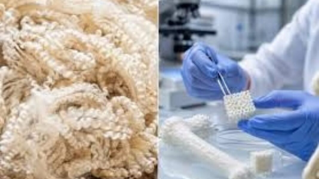 Investigación sobre regeneración ósea con lana en laboratorio