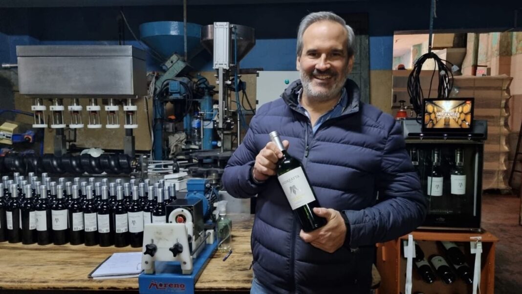 Viñedos en Catamarca, quinta provincia productora de vino de Argentina
