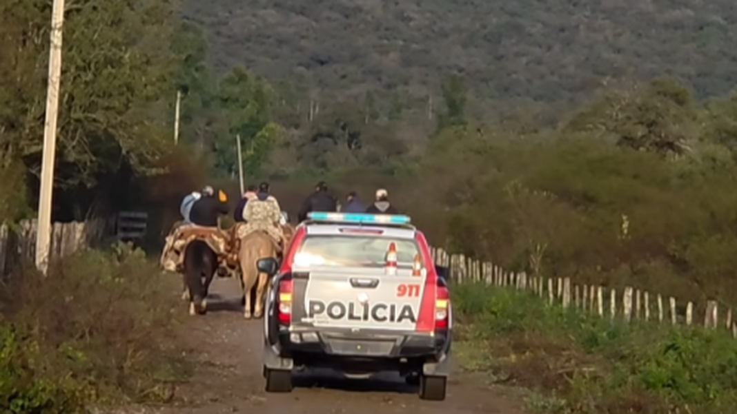 Vista del campo en el departamento Paclín, Catamarca, donde ocurrió el procedimiento por abigeato