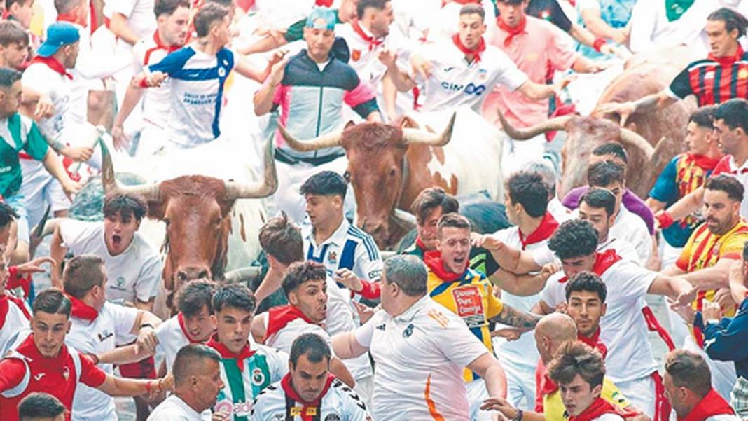 Encierro de toros bravos por las calles de Pamplona durante las fiestas de San Fermín