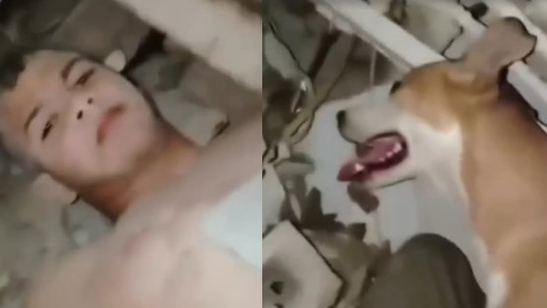 Niño y perro rescatados de escombros tras terremoto en Venezuela