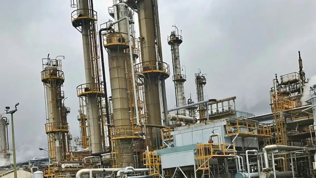 Planta industrial de caucho sintético de Pampa Energía