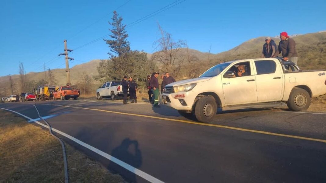 Imagen de la zona afectada por el incendio en El Rodeo
