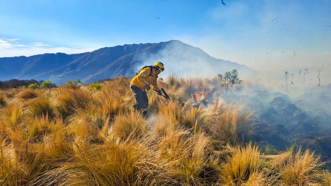 Brigadistas combaten un incendio forestal en la provincia de Catamarca