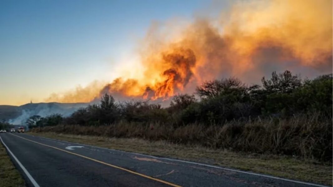 Incendio en la Ruta Provincial Nº 4 cerca de El Rodeo