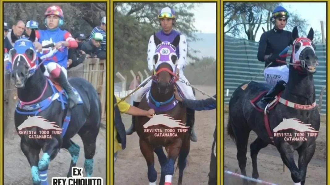 Hipódromo Catamarca durante una jornada de turf