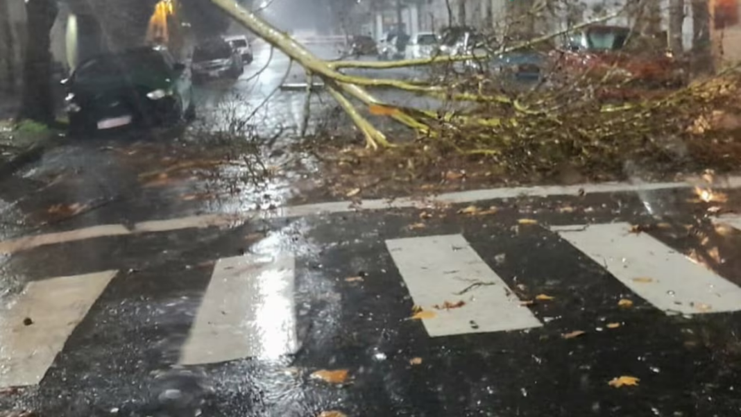 Inundación en una calle del AMBA durante el temporal