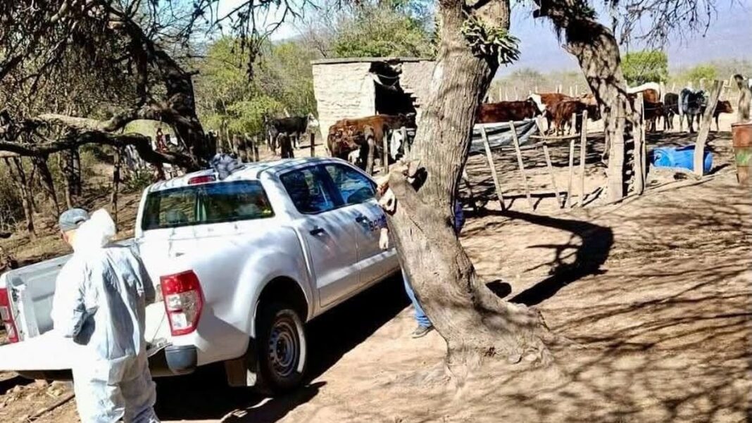 Reunión de productores y autoridades en Los Castillos por rabia bovina