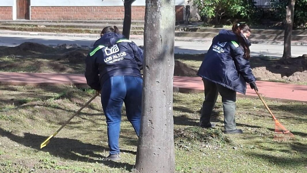 Roedores silvestres en zona de yungas de Catamarca
