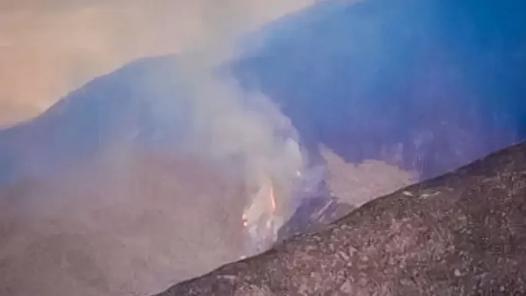 Incendio forestal en los cerros de Andalgalá, Catamarca
