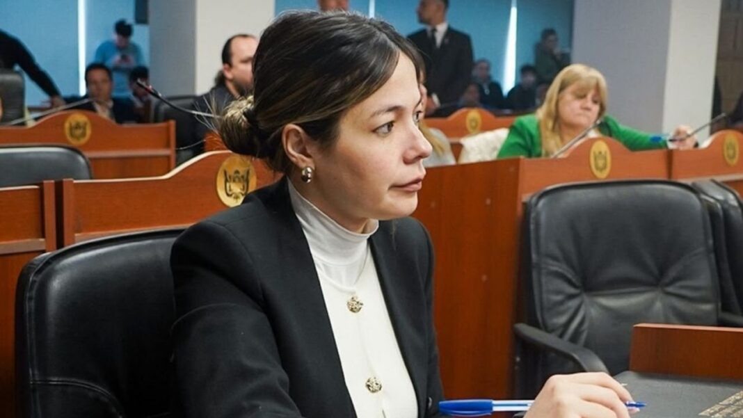 Diputada provincial Josefina Herr en una entrevista