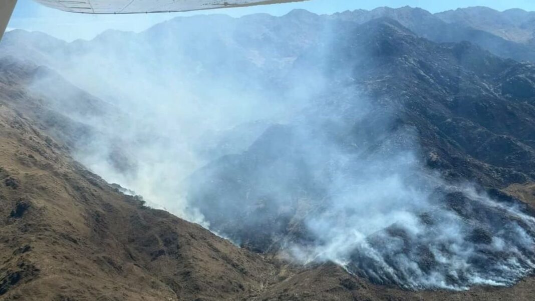 Incendio forestal en la zona de Andalgalá, Catamarca