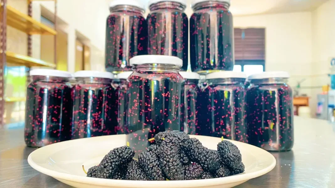 Elaboración de dulces artesanales en la Fábrica Municipal de Andalgalá