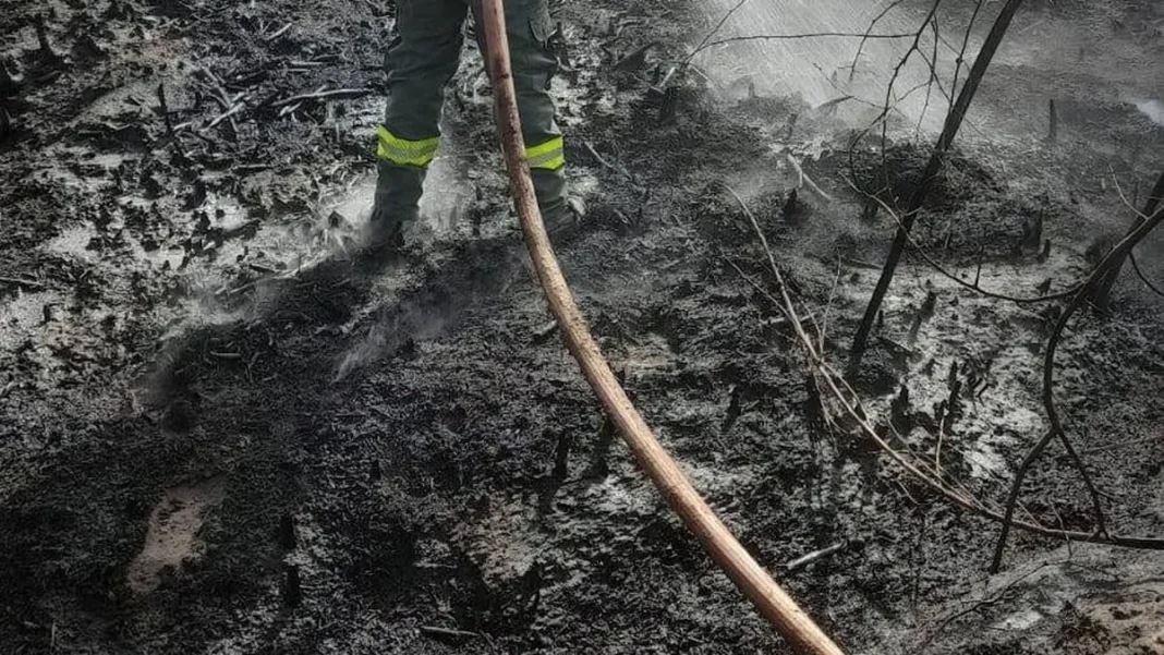 Bomberos voluntarios de Catamarca en una emergencia