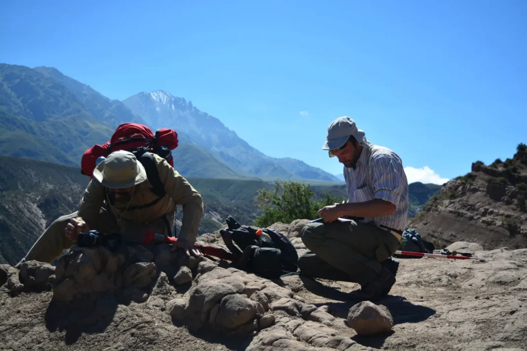 Vista del sitio arqueológico El Shincal de Quimivil en Catamarca
