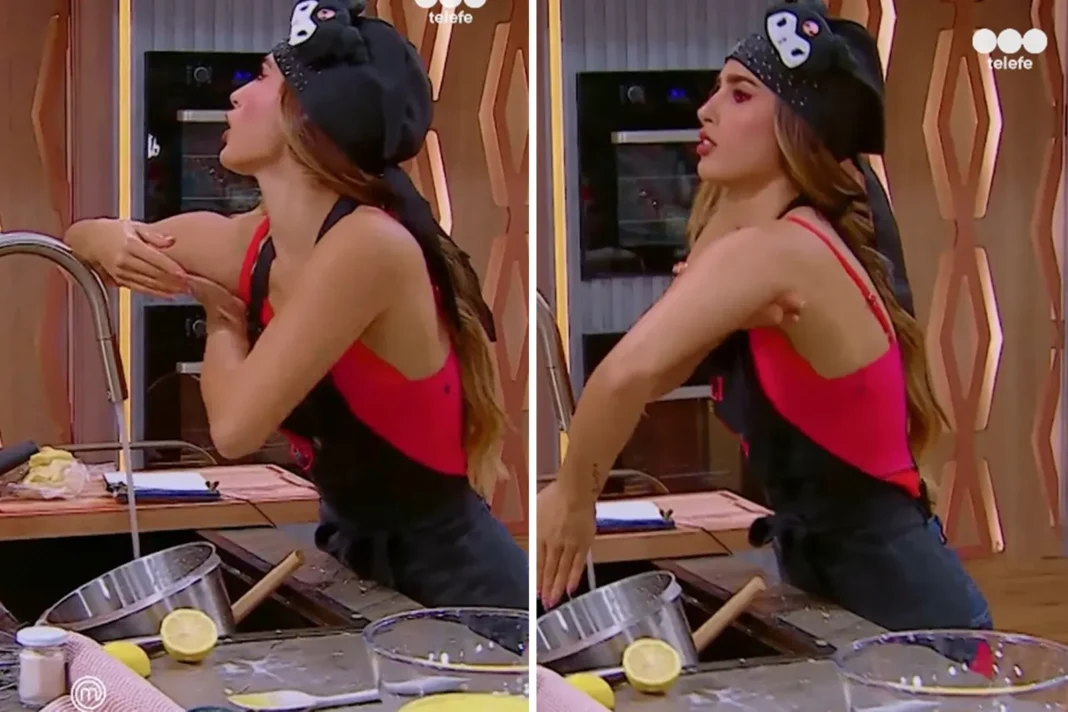 Alejandro Lerner en MasterChef Celebrity
