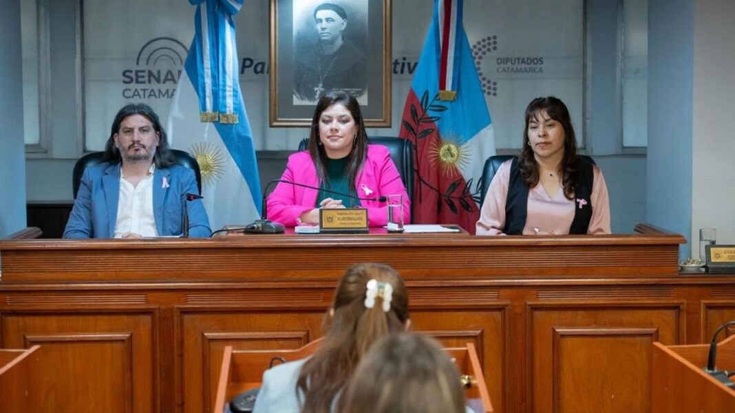 Sesión ordinaria en la Cámara de Senadores de Catamarca